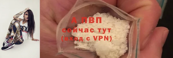 мяу мяу мука Покров