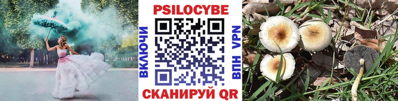 Галлюциногенные грибы Cubensis  МЕГА ССЫЛКА  Любань 